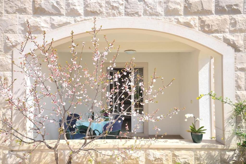 Apartments Regina Bol Ngoại thất bức ảnh